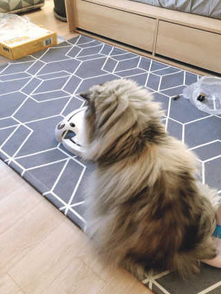 mushroombyjj님이 올린 리뷰 사진 3