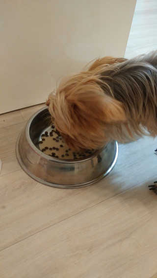 소히님이 올린 리뷰 사진 2