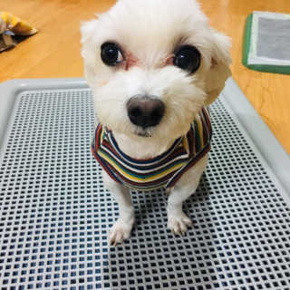 즈리님이 올린 리뷰 사진 1