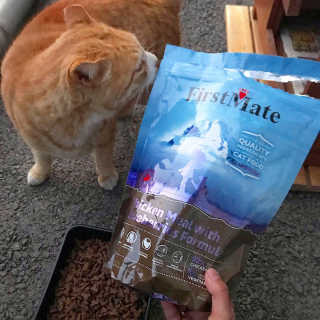 랑이맘님이 올린 리뷰 사진 1