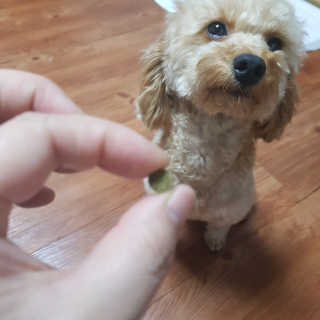 헤이뷰님이 올린 리뷰 사진 4