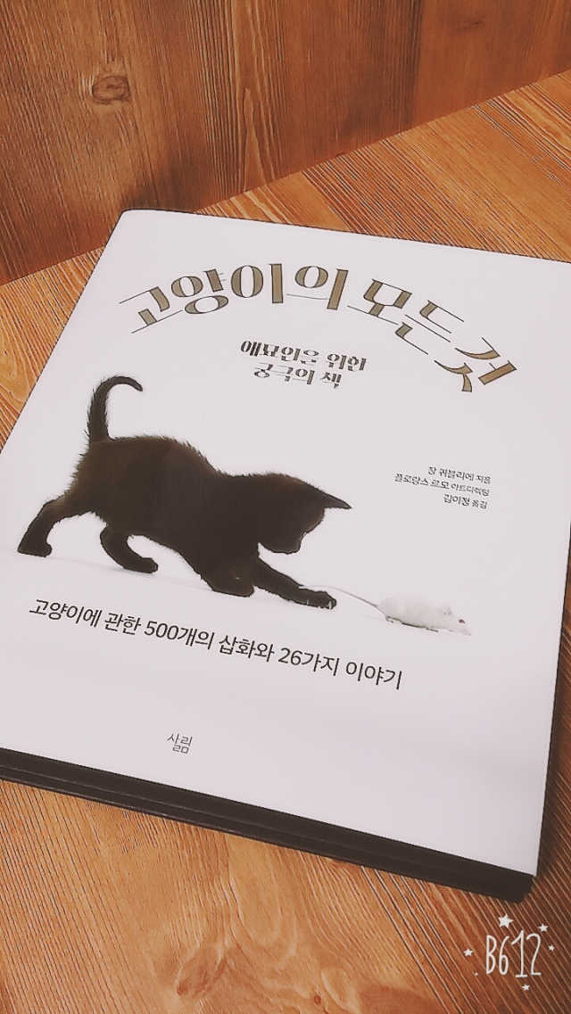 고양이의 모든 것 리뷰 사진