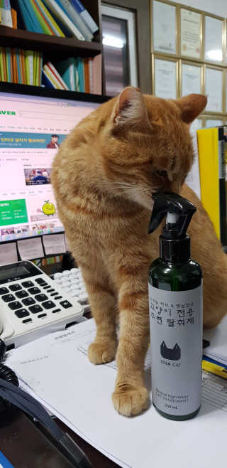 빡찌님이 올린 리뷰 사진 2