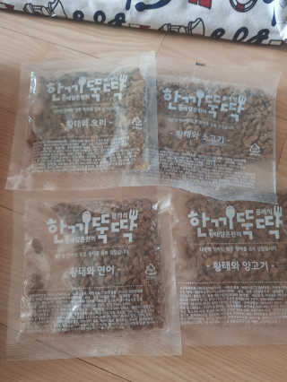 펫토리아 한끼뚝딱 클래식 국산 건식사료 — 4점을 준 리뷰어가 2019년 7월 올린 사용 사진