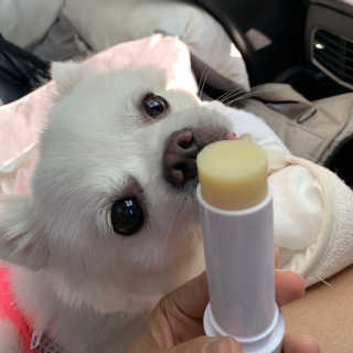 워터몽두님이 올린 리뷰 사진 2