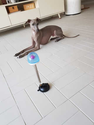 이다금님이 올린 리뷰 사진 3