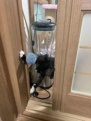랑이님이 올린 리뷰 사진 3