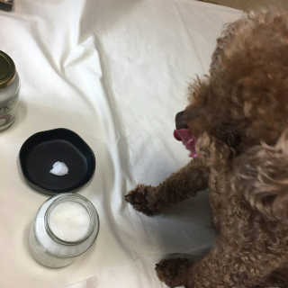 kwon님이 올린 리뷰 사진 3