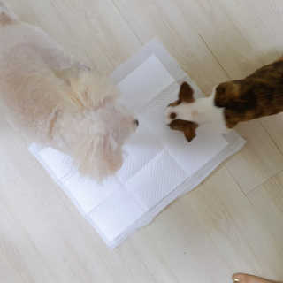 주여니이님이 올린 리뷰 사진 4