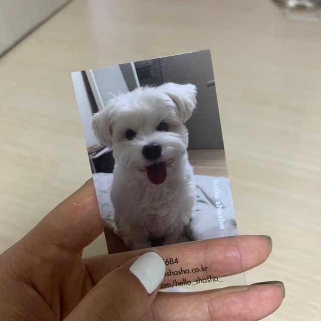 오프린트미 투명명함 리뷰 사진