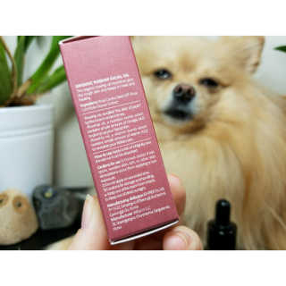 Peepingpomeranian님이 올린 리뷰 사진 4