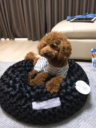 stribling님이 올린 리뷰 사진 2