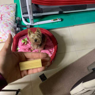 쉬미님이 올린 리뷰 사진 2