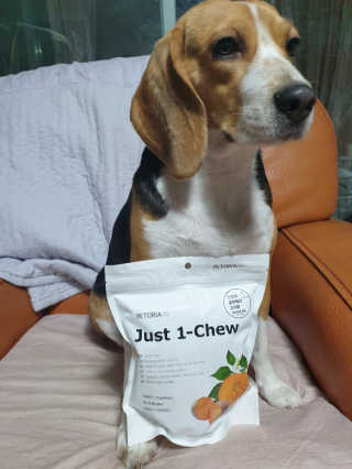 beaglelove님이 올린 리뷰 사진 1