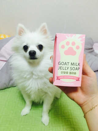 JiMinHeo님이 올린 리뷰 사진 1