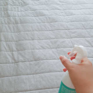 화목한가정 순수니아 피톤치드 스프레이 300ml — 3.5점을 준 리뷰어가 2019년 3월 올린 사용 사진