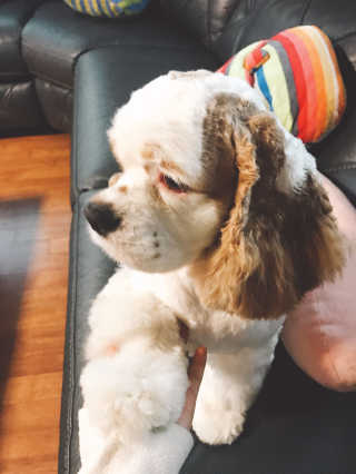 ElliKim님이 올린 리뷰 사진 2