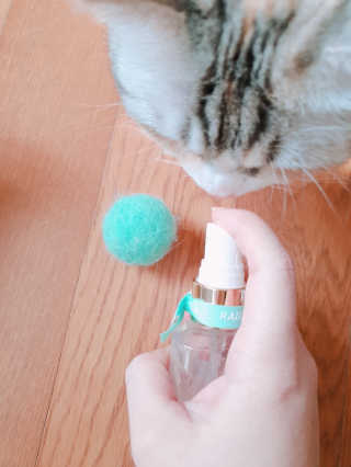 쿠쿠밍님이 올린 리뷰 사진 4