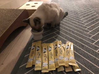 [펫토리아]짜먹는 한입뚝딱 강아지.고양이 마약간식 — 4.5점을 준 리뷰어가 2019년 8월 올린 사용 사진