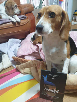 beaglelove님이 올린 리뷰 사진 3