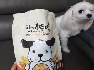 [펫토리아] 맛도 영양도 BEST 한끼뚝딱 강아지 사료 — 5점을 준 리뷰어가 2019년 3월 올린 사용 사진