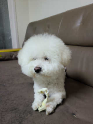 pms415님이 올린 리뷰 사진 2