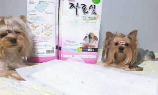 아이링님이 올린 리뷰 사진 3