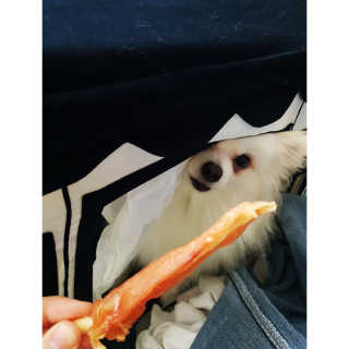 심쿵해에님이 올린 리뷰 사진 2
