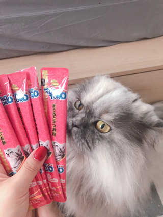 mushroombyjj님이 올린 리뷰 사진 3