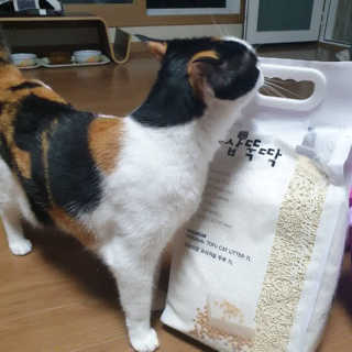 루잉루잉님이 올린 리뷰 사진 1