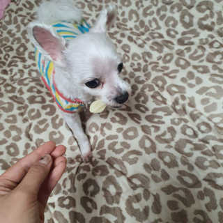 백쩌리님이 올린 리뷰 사진 4
