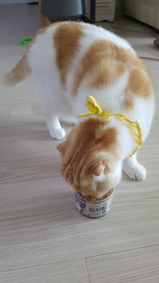 소피마르소님이 올린 리뷰 사진 3