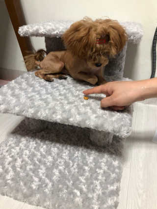 이쁜이님이 올린 리뷰 사진 1