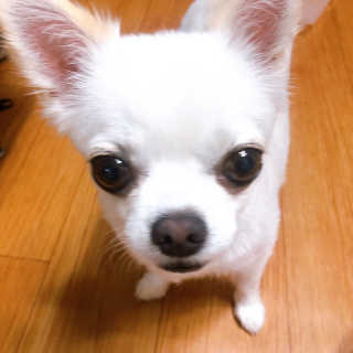 lovelyone님이 올린 리뷰 사진 4