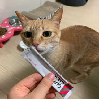 수경이야님이 올린 리뷰 사진 1
