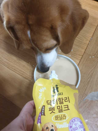 닥터할리펫밀크 8종 — 5점을 준 리뷰어가 2019년 10월 올린 사용 사진