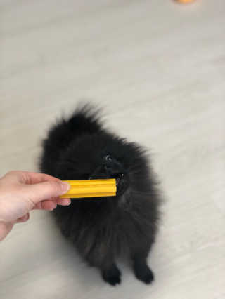 은쓸님이 올린 리뷰 사진 3