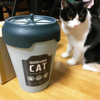 cola님이 올린 리뷰 사진 1