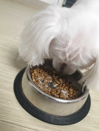 메뚝메뚝님이 올린 리뷰 사진 1
