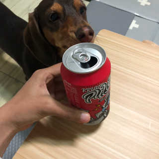 밍라맘님이 올린 리뷰 사진 4