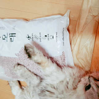 이영실님이 올린 리뷰 사진 4