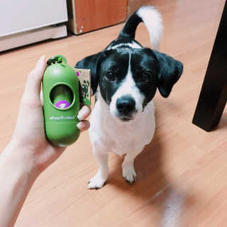 댕님이 올린 리뷰 사진 1
