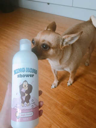 유르율님이 올린 리뷰 사진 2