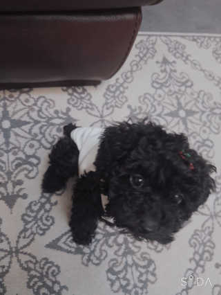 독버서시님이 올린 리뷰 사진 3