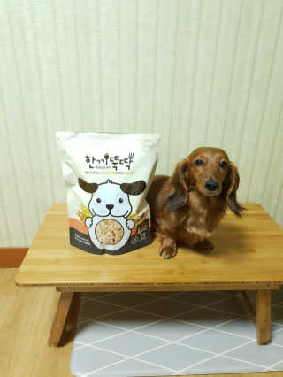 [펫토리아] 맛도 영양도 BEST 한끼뚝딱 강아지 사료 — 5점을 준 리뷰어가 2019년 4월 올린 사용 사진
