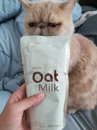 순오트밀크, soon oat milk — 4.33점을 준 리뷰어가 2018년 11월 올린 사용 사진