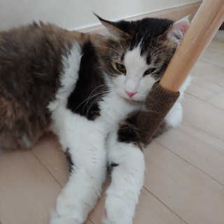 Sora님이 올린 리뷰 사진 3
