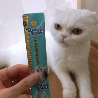 Dragonzoo님이 올린 리뷰 사진 2