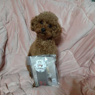 seni님이 올린 리뷰 사진 2