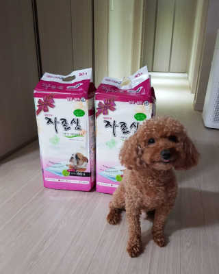 narae님이 올린 리뷰 사진 1